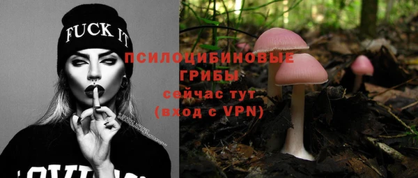 mdpv Алексеевка