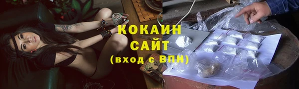 тгк Алзамай
